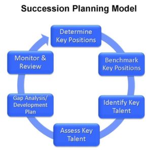 Succession Planning Model-S